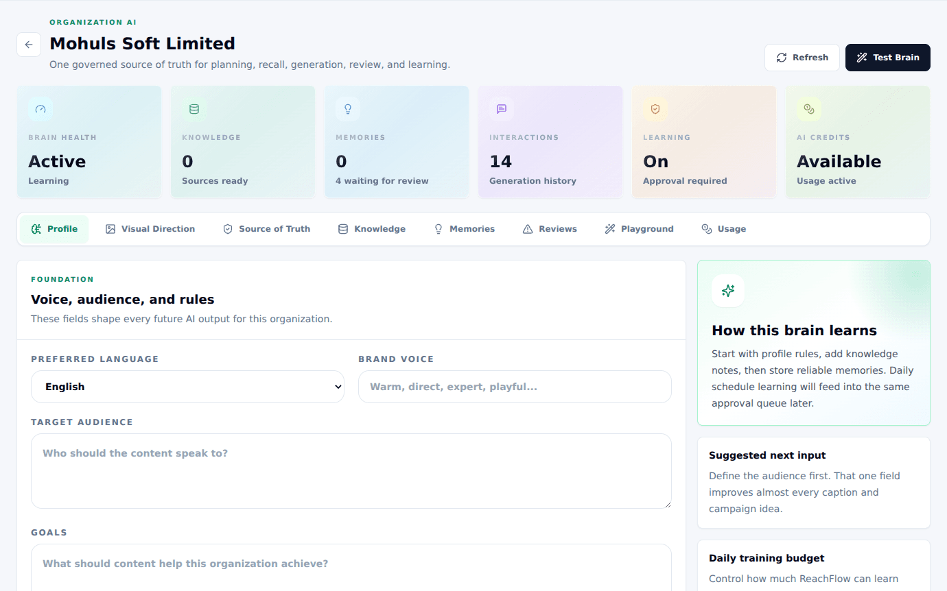 ReachFlow Organization AI Brain with brand profile, audience, visual direction, knowledge, and memory controls